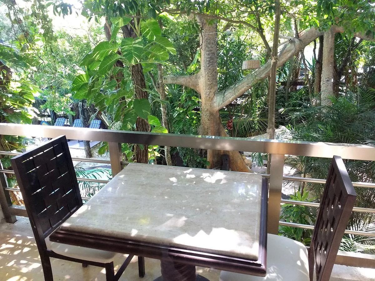 Villanovaceiba Playa del Carmen Villa