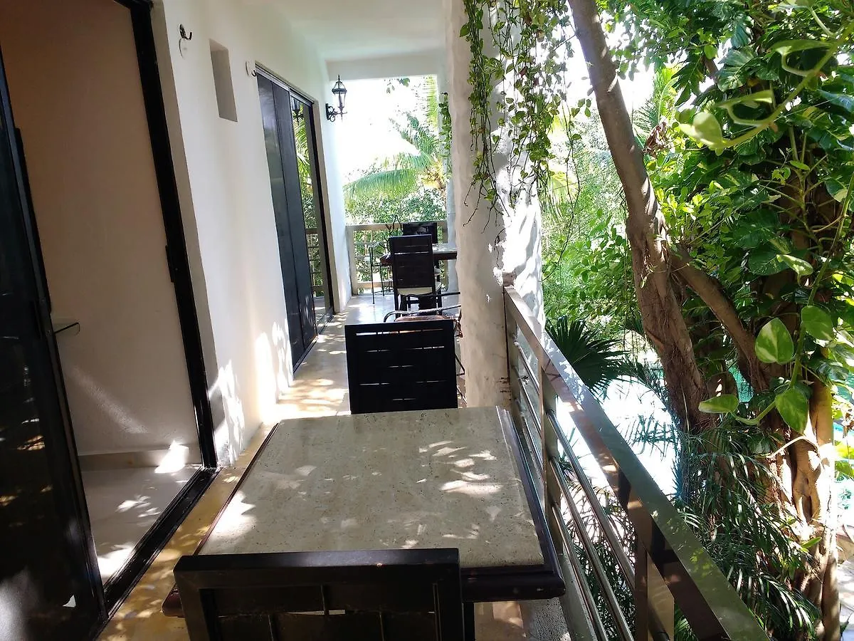 Villanovaceiba Playa del Carmen 0*,  Mexico