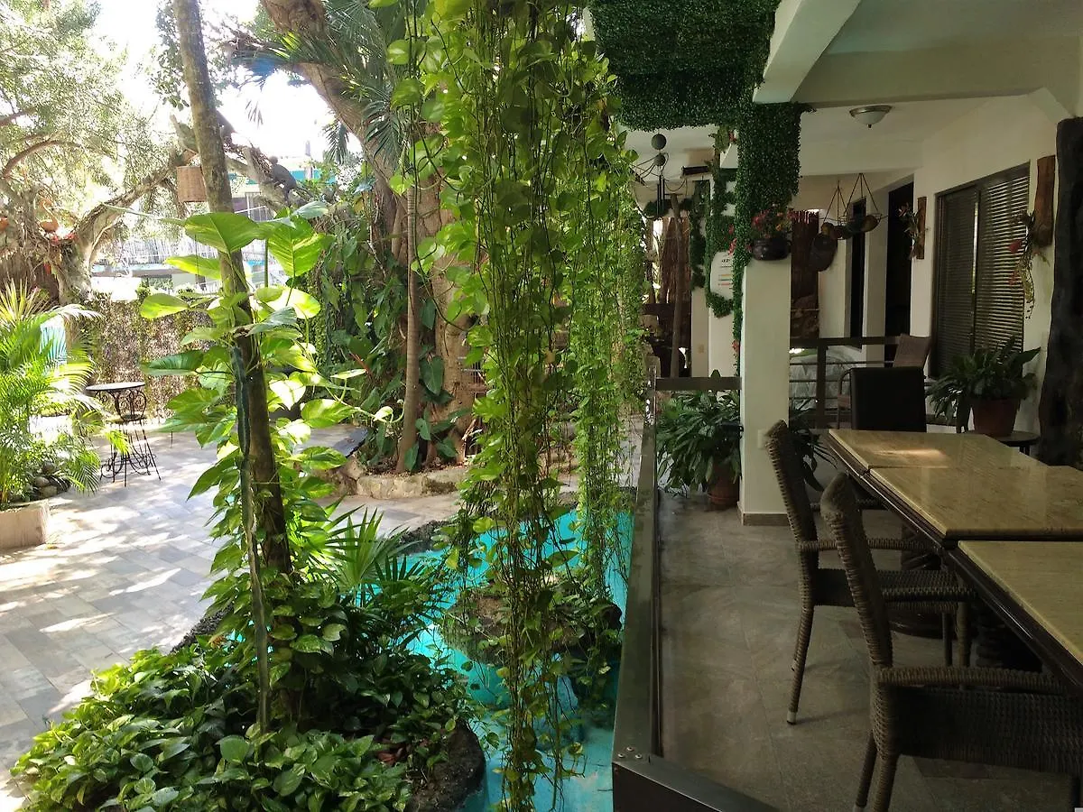Villanovaceiba Playa del Carmen Mexiko