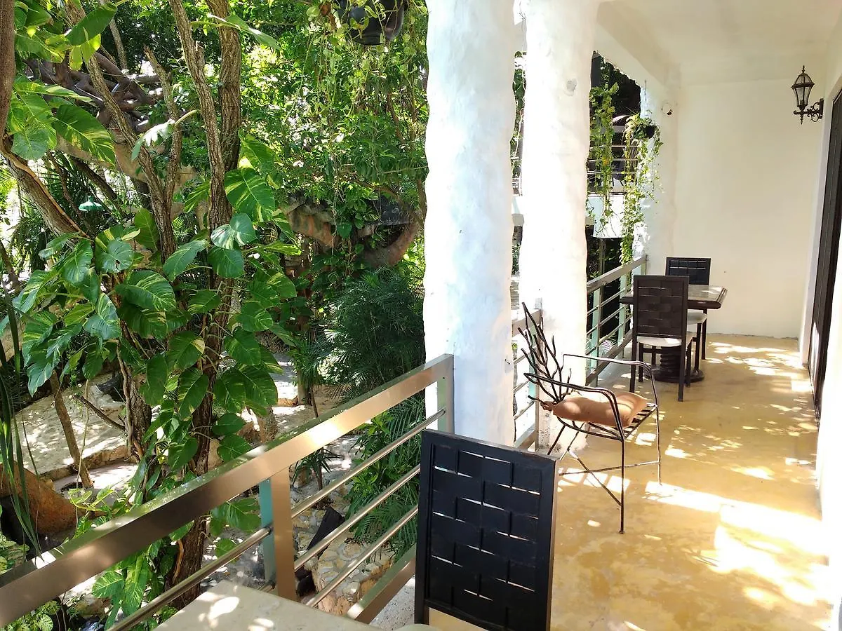 Villanovaceiba Playa del Carmen