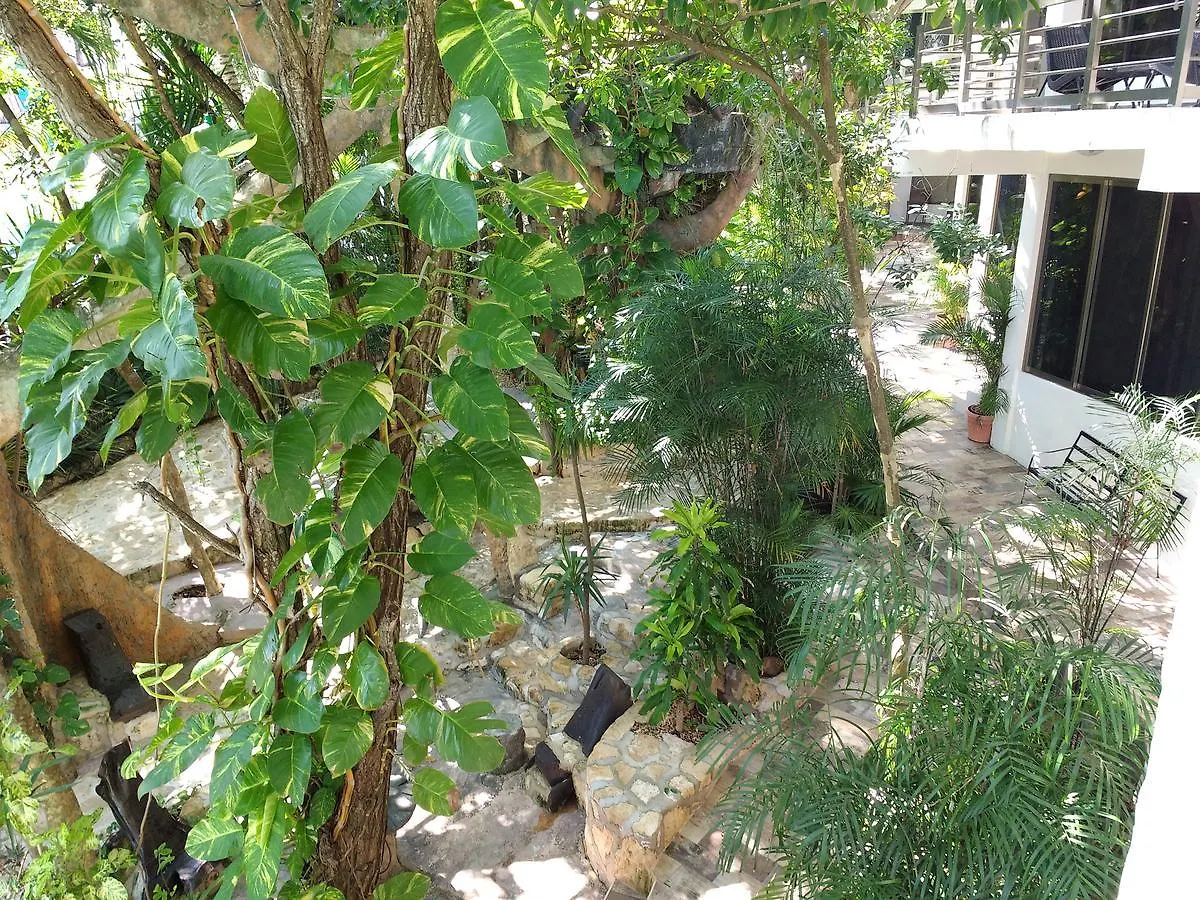 Villanovaceiba Playa del Carmen 0*,  Mexiko